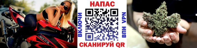 Купить где  Салаир  Бошки марихуана сатива 